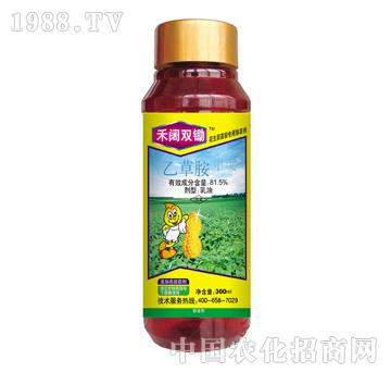 81.5%����p�z-̩�(y��ng)