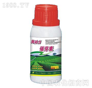 ��ѿ��-������-˼�h����