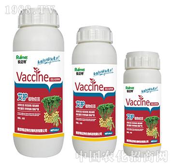 ���o(h��)ֲ�����绨���󶹌���-�J�~��