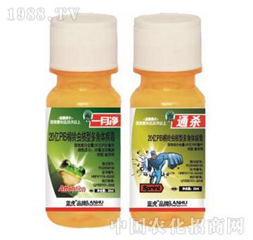 20�|PIB����x���Ͷ���w����-һ��-���_(d��)����