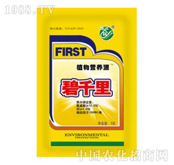 ֲ��I(y��ng)�B(y��ng)Դ-��ǧ��ۄ�-��ǧ��