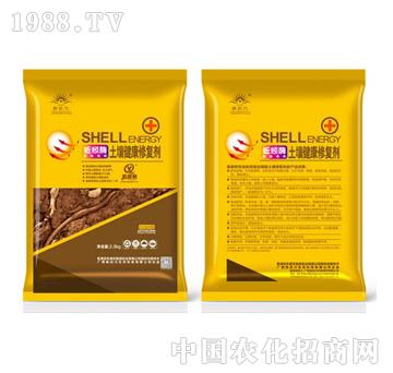 ���ø���������ޏ̈́�-