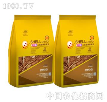 ���ø���������ޏ̈́�-