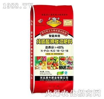 ������⛓������18-