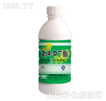 72%2��4�ζ���-�G��