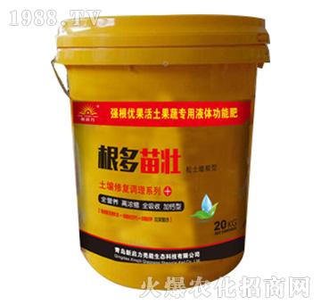 �������-�����ޏ��{(di��o)��