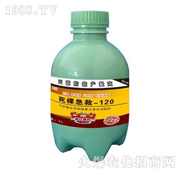 ���ü���-120-�o�r(n��ng)