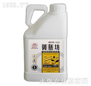 5kg�����Ԫ�I�B(y��ng)Һ-