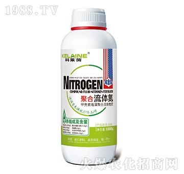 �ۺ����w��-���R��-�W���r�I(y��)