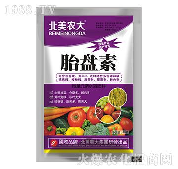 ̥�P��-�����r(n��ng)��