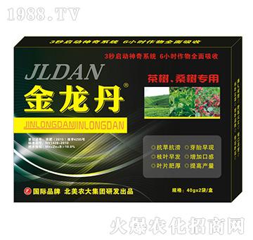 ɣ�茣��-�����r(n��ng)��