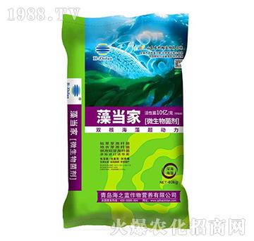 ΢�������-�宔��-��