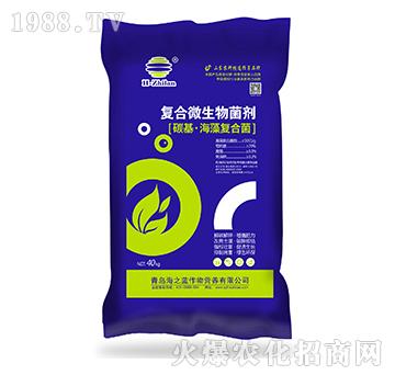 �ͺ�΢�������-̼����