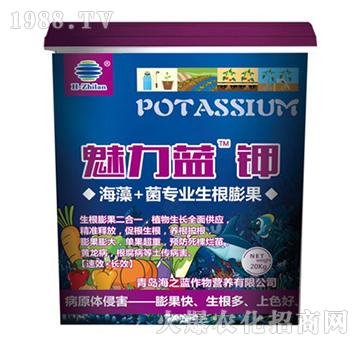 �����{�-��֮�{