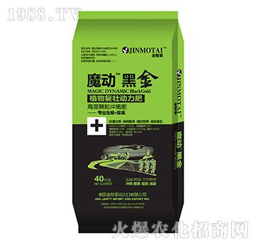 ħ�Ӻڽ�-��֮�{