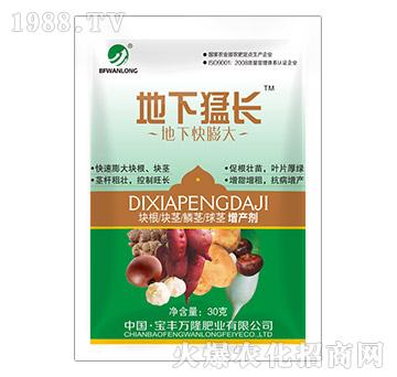 ���¿����-�������L(zh��ng)-���S�f(w��n)¡