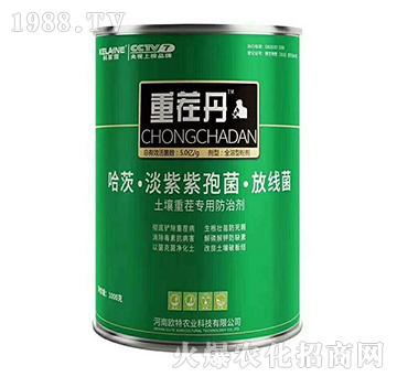 �����ز猣�÷��΄�-��