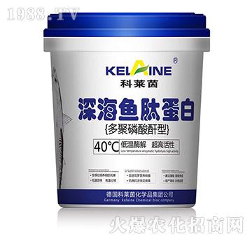 ��~����-���R��-�W