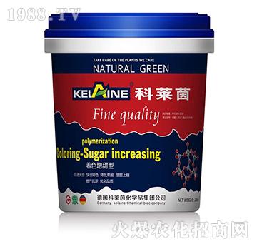 ��ɫ����-���R��-�W��