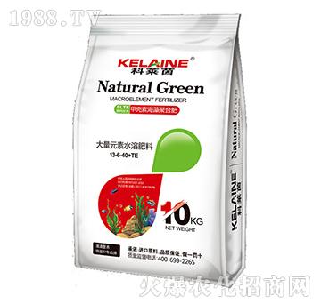 ����Ԫ��ˮ�ܷ���13-