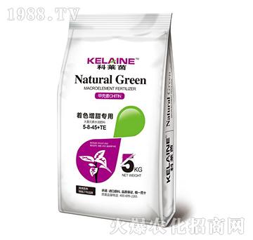 ����Ԫ��ˮ�ܷ���5-8