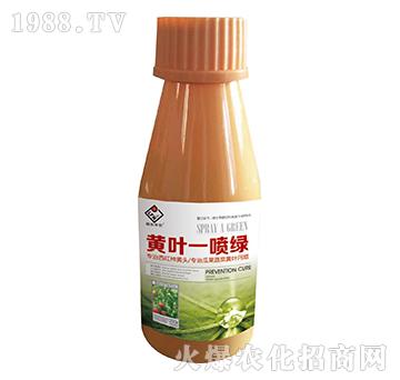 �S�~һ���G-���r����