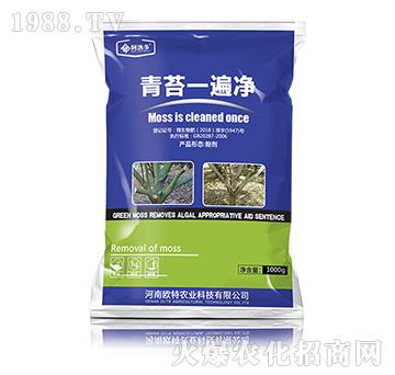 ��̦һ���-���ݶ�-�W