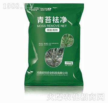 ��̦���-���R��-�W��