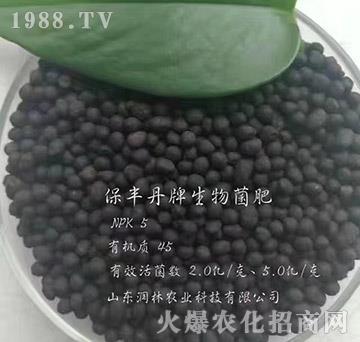 �������-���S��-�����r(n��ng)�I(y��)