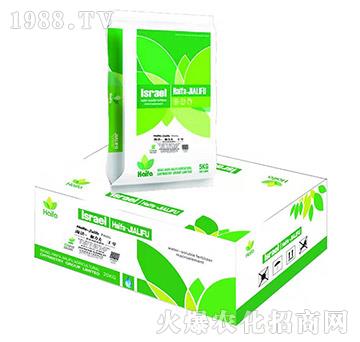 �����������̖-�����