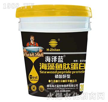 �������ͺ����~����-�����{