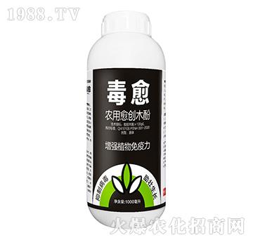 �r������(chu��ng)ľ��-����-��ɭ�r��