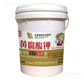 ������}������S�����