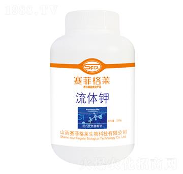 ���w�-ِ�Ƹ��R