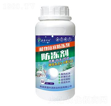 植物抗寒防凍劑-英普葉潤(rùn)