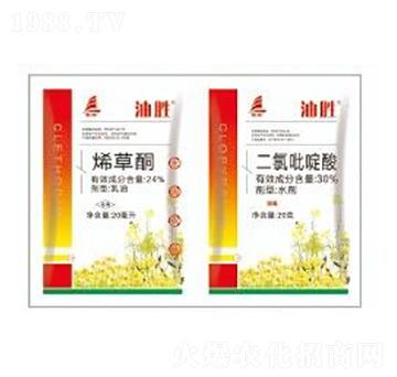 24%ϩ��ͪ+30%���������-�̈́�-ϲ�S��