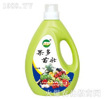 �������-����������