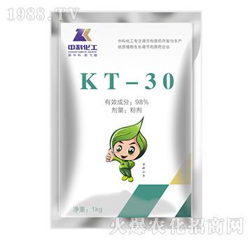 �����壨KT-30��-�пƻ���