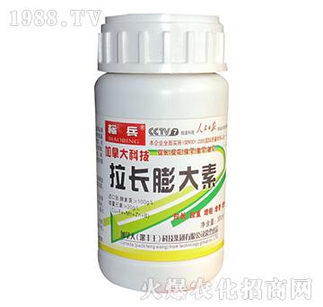 拉長膨大素-標兵-漯豐王