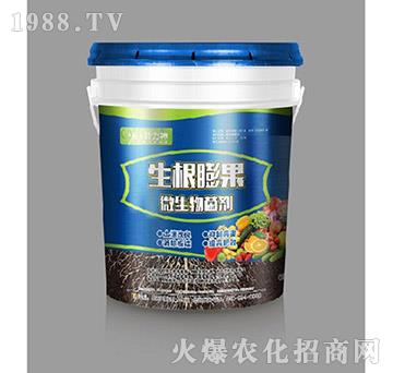 微生物菌劑-生根膨果-施耐力