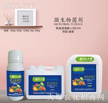 微生物菌劑（2億活菌）-施耐力