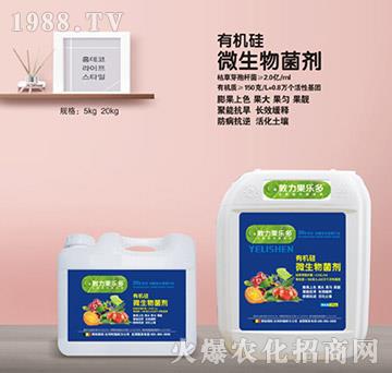 有機硅微生物菌劑（桶）-施耐力