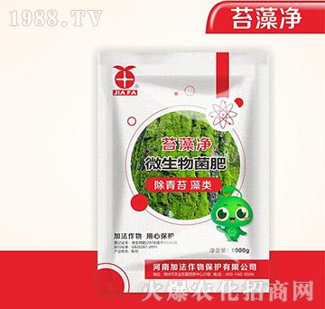 ΢�������-̦���-�ӷ�����