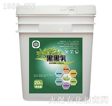 �ں���-��ֲ(li��n)��