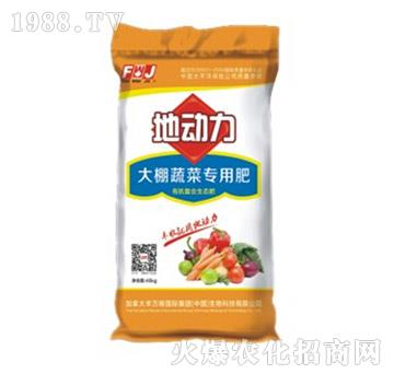 �����߲ˌ��÷�-�؄���-�S�f��