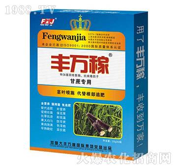 ���ጣ�÷�-����������