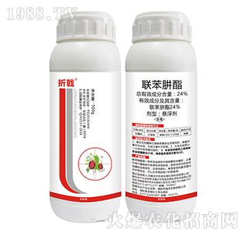 24%(li��n)������-���N����