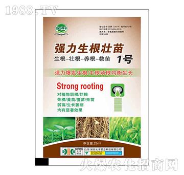 ������������1̖-��@