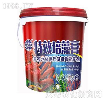 �����-��@���S-���S