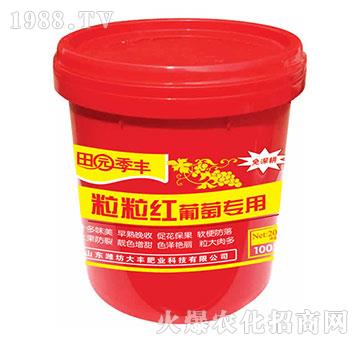 ���ь��������t-��@��